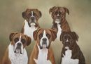 Original Pastel Painting Of Benson Louis Scooby Scrappy & Buster