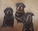 Original Pastel Painting Of Frankie, Smithy & Bryson