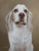 Original Pastel Painting Of Bertie