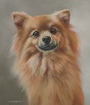 Original Pastel Painting Of Winston