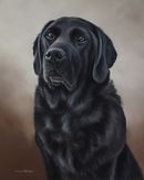 Original Pastel Painting Of Leo