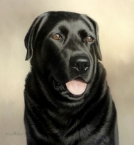 Original Pastel Painting of Levi.