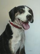 Pastel Portrait Of Dylan