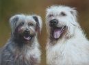 Pastel Portrait Of Molly & Finan, Glen Of Imaal Terriers
