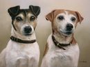 Pastel Portrait Of Jack & Arnie, Jack Russell Terriers