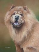 Pastel Painting Of Chas, Chow Chow