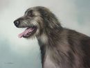 Original Pastel Painting Of Irish Wolfhound