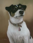 Original Pastel Painting Of Toby, Jack Russell Terrier