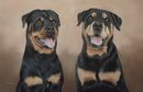 Original Pastel Painting Of Seren & Frank