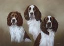Original Pastel Painting Of Scamp, Gemma & Roly