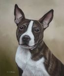 Original Pastel Painting Of Suzy, Staffordshire Bull Terrier.