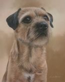Original Pastel Painting Of Pip.