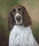 Original Pastel Painting Of Merlin