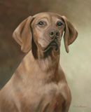 Original Pastel Painting Of Olek