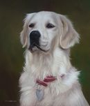 Original Pastel Painting Of Jasmine