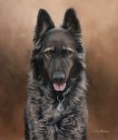 Original Pastel Painting Of Merlin