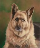 Original Pastel Painting Of Cass