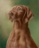 Original Pastel Painting Of Wire Haired Viszla