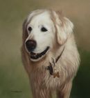 Original Pastel Painting Of Max