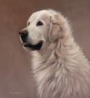 Original Pastel Painting of Ronnie.