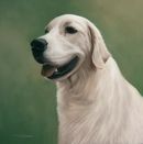 Original Pastel Painting Of Megan