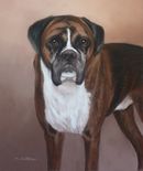 Original Pastel Painting Of Dillon The Boxer.