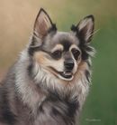 Original Pastel Painting Of Matilda