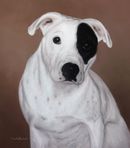 Original Pastel Painting Of Butch