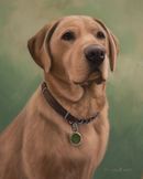 Original Pastel Painting Of Labrador Retriever.