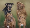 Original Pastel Painting Of Saffron, Gracie, Darla & Dexter