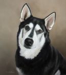 Original Pastel Painting Of Kasskae The Northern Inuit