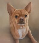 Original Pastel Painting Of Ruby The Chihuahua