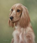 Original Pastel Painting of Cocker Spaniel, Lucy