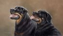 Original Pastel Painting Of Louie & Lola.