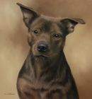 Original Pastel Painting Of Zara