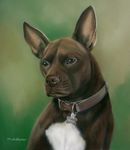 Original Pastel Painting Of Jesse.