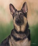 Original Pastel Painting Of Sonny.