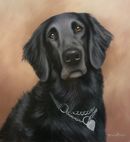 Original Pastel Painting Of Freya The Flat Coat Retriever