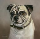 Original Pastel Painting Of Winston