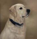 Original Pastel Painting Of Sonny