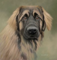 Original Pastel Painting Of Loki The Leonberger.