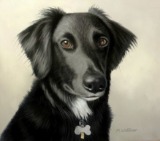 Original Pastel Painting of Sasha.
