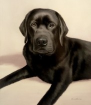 Original Pastel Painting of Teun.