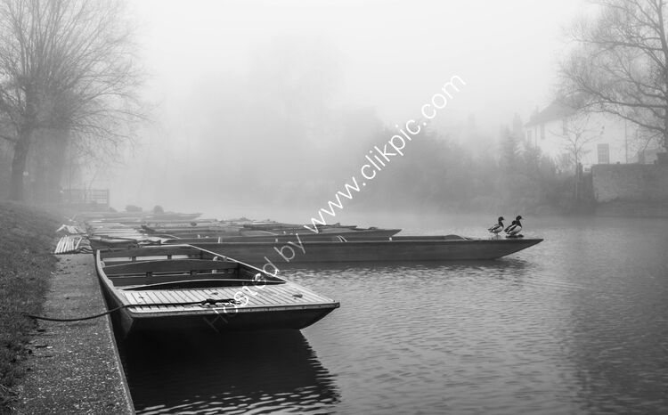 Punts and Ducks
