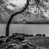 Citadel (Available at www.ftsq.co.uk)