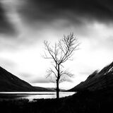 Sentinel (Available at www.ftsq.co.uk)