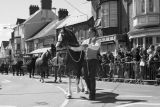 Barley Saturday Stallion Parade