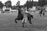 Dean Wallace & 'Ryehill Prince Comet'