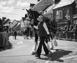Barley Saturday, Cardigan, Wales