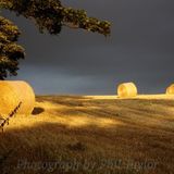 Image by Phil Taylor